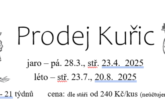 Prodej kuřic